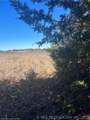 00 Range Road - Photo 19