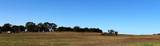 164 County Road 2280 - Photo 5