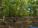 9270 420 Road - Photo 11