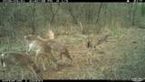 16558 Midway - Photo 20