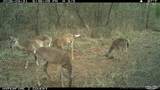 16558 Midway - Photo 21