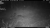 16558 Midway - Photo 22