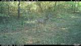 16558 Midway - Photo 23