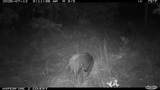 16558 Midway - Photo 26