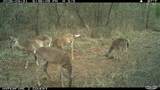 16558 Midway - Photo 27