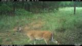 16558 Midway - Photo 28