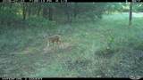 16558 Midway - Photo 29