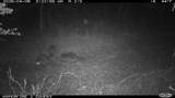16558 Midway - Photo 30