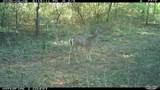 16558 Midway - Photo 31