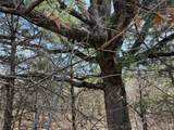 16558 Midway - Photo 9