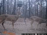 000 106th Street East - Photo 16