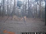 000 106th Street East - Photo 20