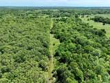 220 Wild Rose Road - Photo 11