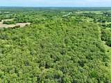 220 Wild Rose Road - Photo 12