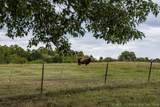 12717 Chisolm - Photo 65