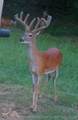 12717 Chisolm - Photo 99