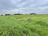 3689 No Man Road - Photo 15