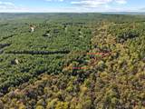 134 Wolf Tree Trail - Photo 10