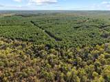 134 Wolf Tree Trail - Photo 13