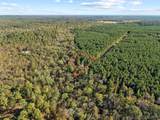 134 Wolf Tree Trail - Photo 14