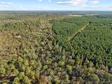 134 Wolf Tree Trail - Photo 15