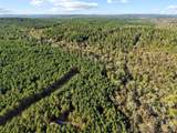134 Wolf Tree Trail - Photo 9