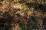 14665 210 Road - Photo 17