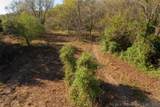 14665 210 Road - Photo 6