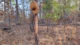  596 Road - Photo 21