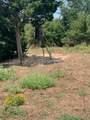  County Road 3647 Road - Photo 11