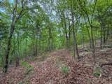  Pine Tree Road - Photo 13