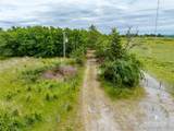  Pine Tree Road - Photo 8