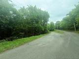 18500 Sugar Mountain Circle - Photo 3