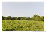 0002 73rd Street - Photo 12