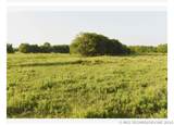0002 73rd Street - Photo 15