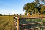  154th Street - Photo 28