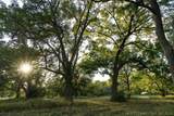  154th Street - Photo 37