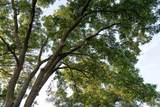  154th Street - Photo 62