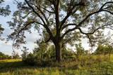  154th Street - Photo 64