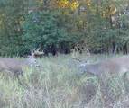  33rd Street - Photo 15