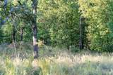  33rd Street - Photo 39
