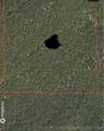  State Hwy 31 - Photo 1