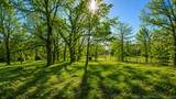 2 Hickory Bluff Street - Photo 1