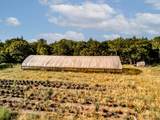 40219 County Road 1219 Road - Photo 10