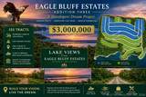  Eagle Bluff - Photo 1