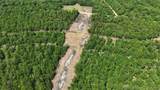  Eagle Bluff - Photo 12