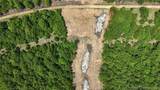  Eagle Bluff - Photo 17