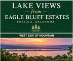  Eagle Bluff - Photo 2