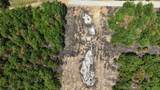  Eagle Bluff - Photo 9