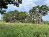 2822 Lott Bottom Road - Photo 5